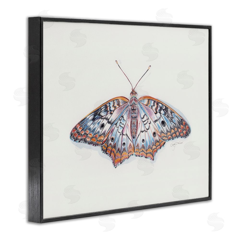 Cady Driver Delicate Moth with Detailed Pattern Black Framed Giclee Wall Art Print