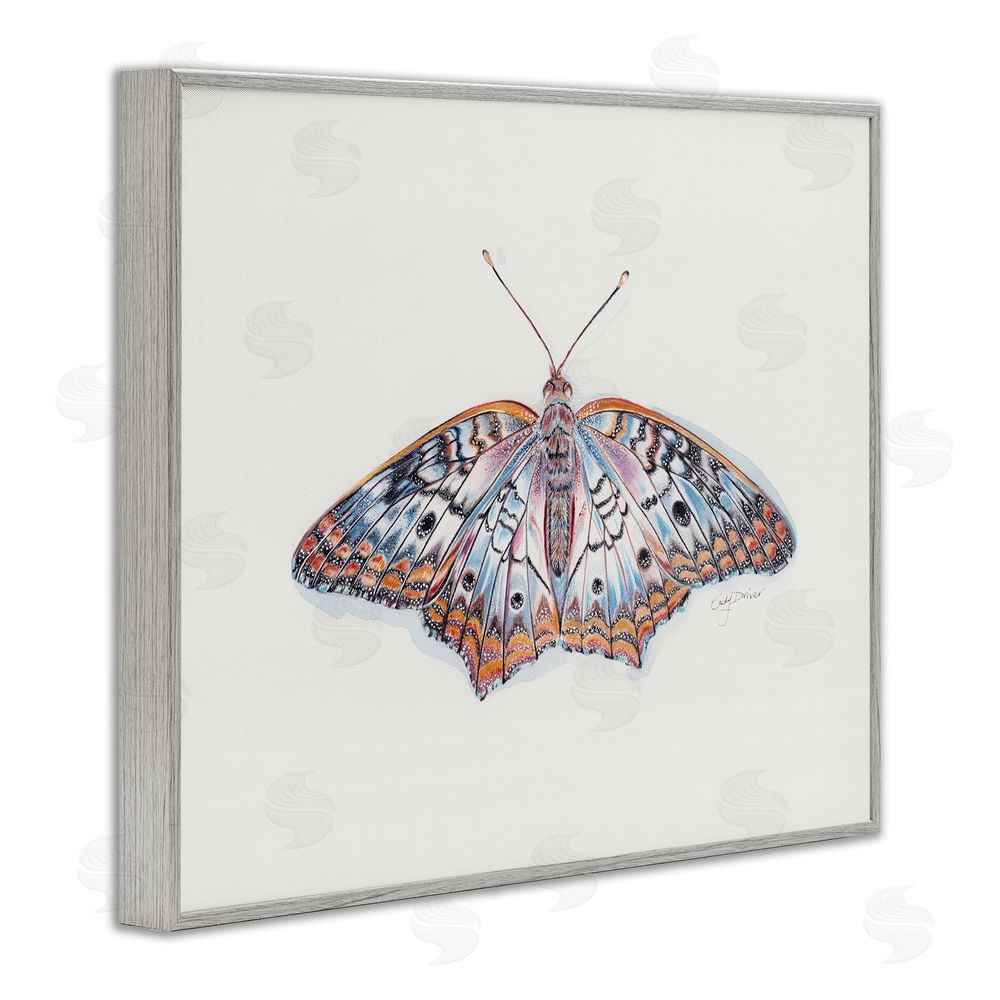 Cady Driver Delicate Moth with Detailed Pattern Gray Framed Giclee Wall Art Print