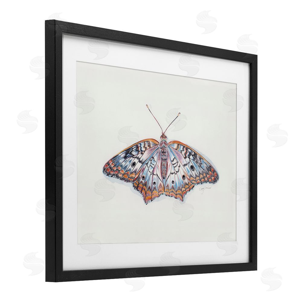Cady Driver Delicate Moth with Detailed Pattern Black Framed Print Under Glass with White Mat Wall Art