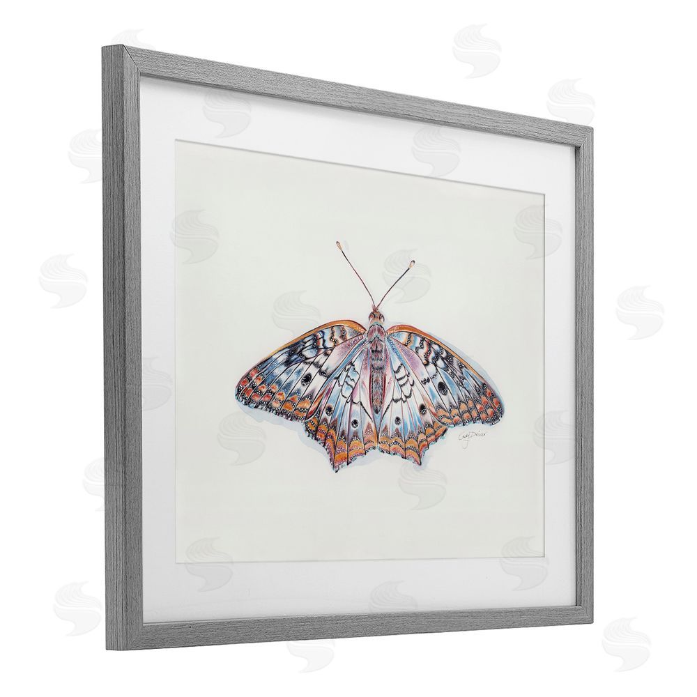 Cady Driver Delicate Moth with Detailed Pattern Gray Framed Print Under Glass with White Mat Wall Art