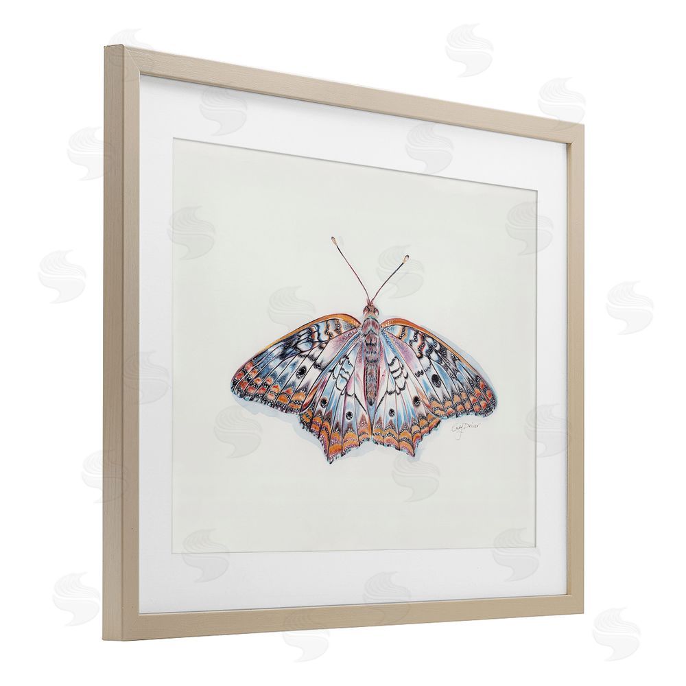 Cady Driver Delicate Moth with Detailed Pattern Birch Framed Print Under Glass with White Mat Wall Art