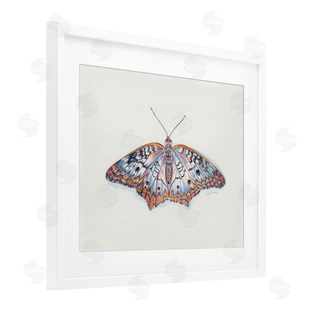 Cady Driver Delicate Moth with Detailed Pattern White Framed Print Under Glass with Mat Wall Art