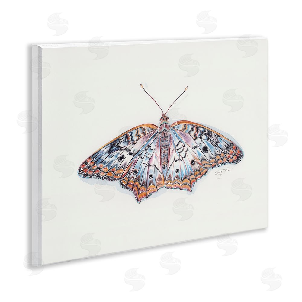 Cady Driver Delicate Moth with Detailed Pattern Wall Plaque Art Print