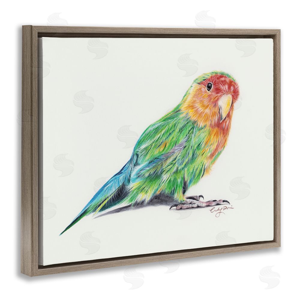 Cady Driver Rainbow Gradient Parakeet Brown Floating Frame Canvas Wall Art Print