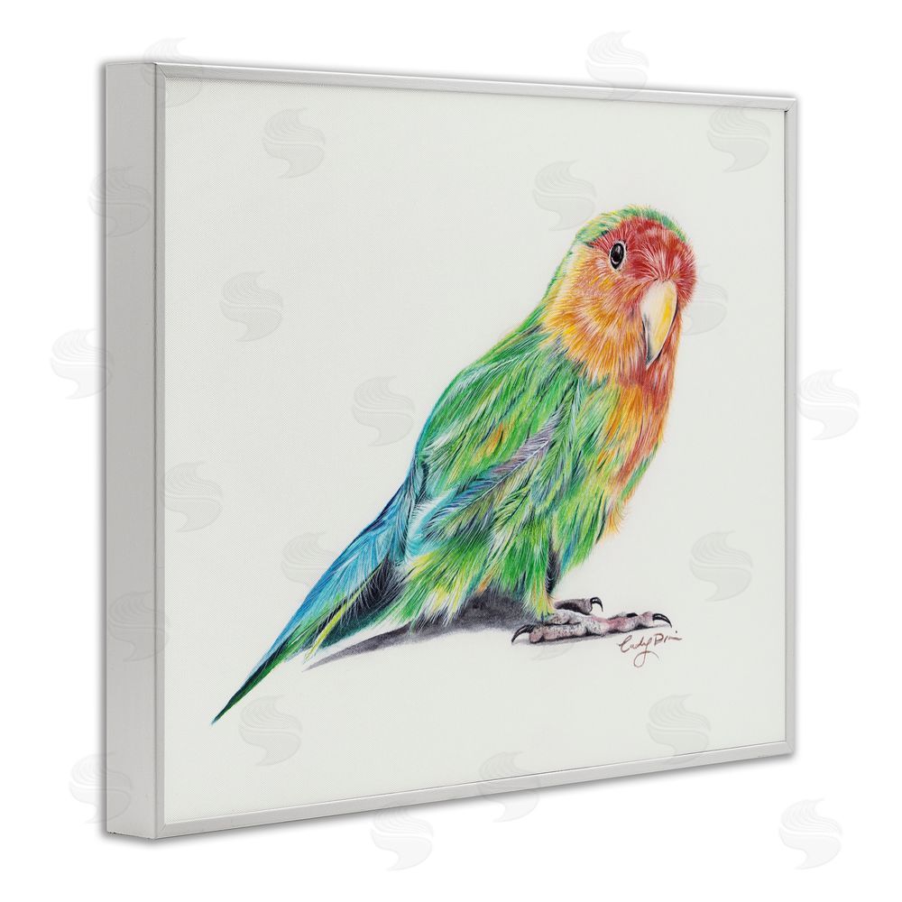 Cady Driver Rainbow Gradient Parakeet White Framed Giclee Wall Art Print