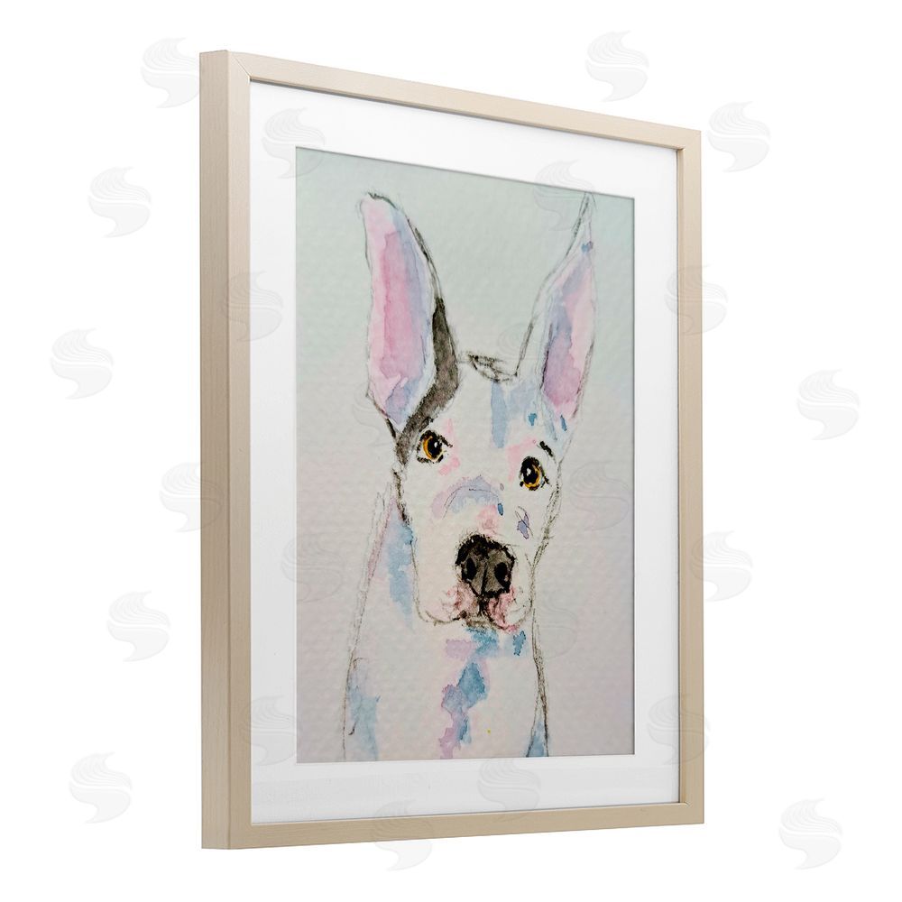 Tatiana Roberts Expressive Dog Sketch Birch Framed Print Under Glass with White Mat Wall Art