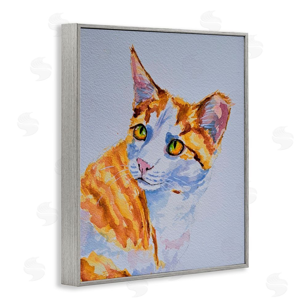 Tatiana Roberts Orange Cat Expression Gray Framed Giclee Wall Art Print