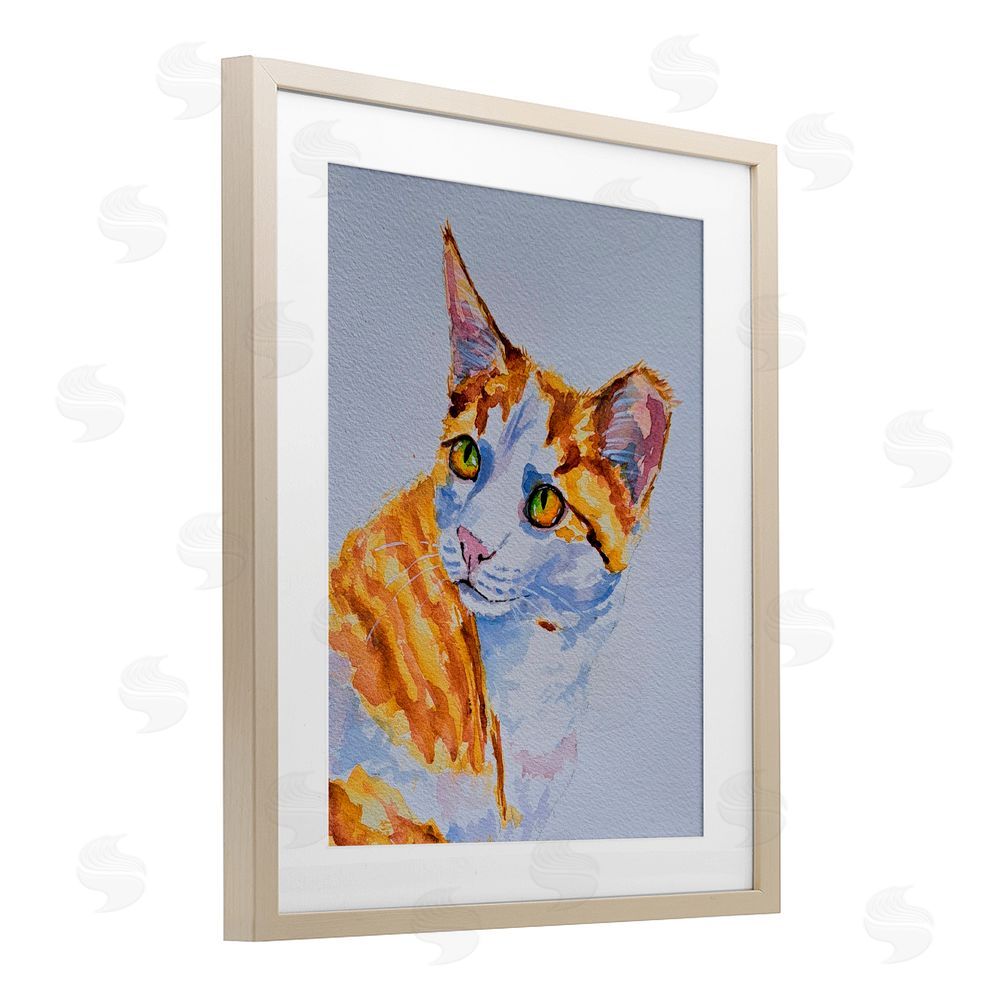 Tatiana Roberts Orange Cat Expression Birch Framed Print Under Glass with White Mat Wall Art