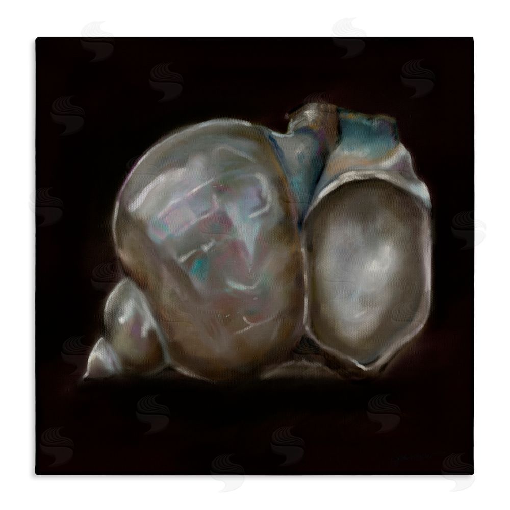 Mary Sparrow Treasure Of Sea Shell Canvas Wall Art Print