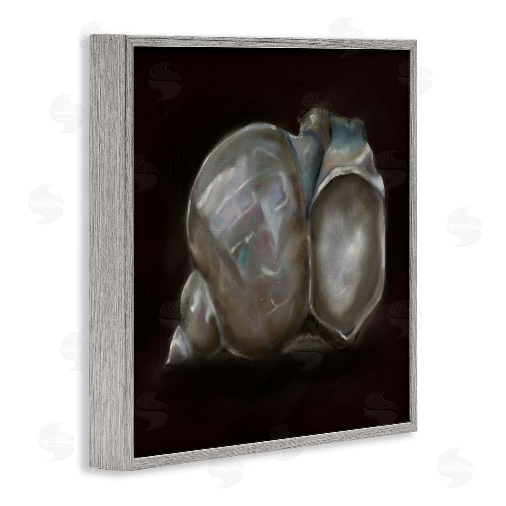 Mary Sparrow Treasure Of Sea Shell Gray Framed Giclee Wall Art Print