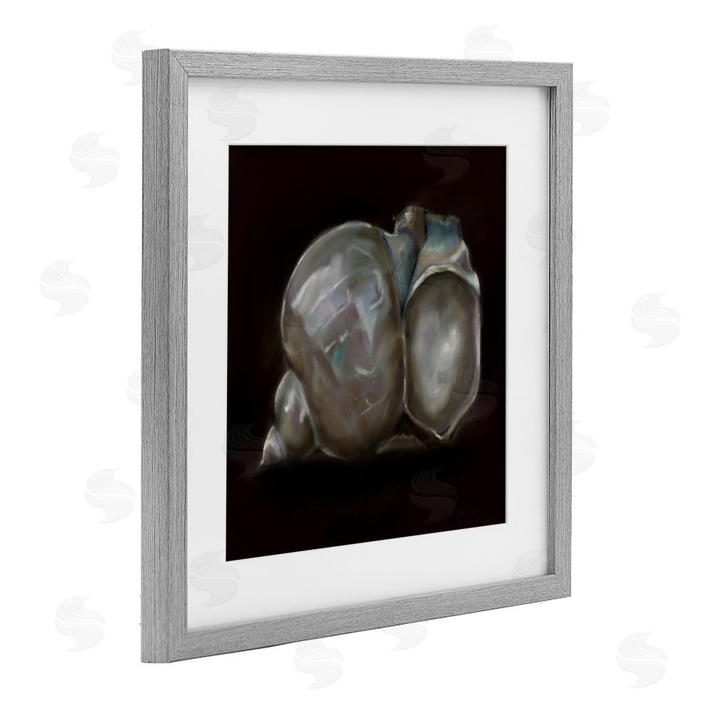 Mary Sparrow Treasure Of Sea Shell Gray Framed Print Under Glass with White Mat Wall Art