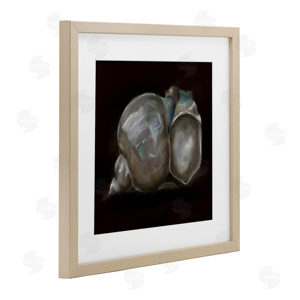Mary Sparrow Treasure Of Sea Shell Birch Framed Print Under Glass with White Mat Wall Art