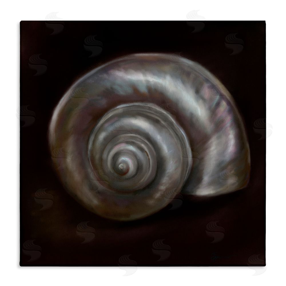Mary Sparrow Spiral Treasure Of Sea Canvas Wall Art Print