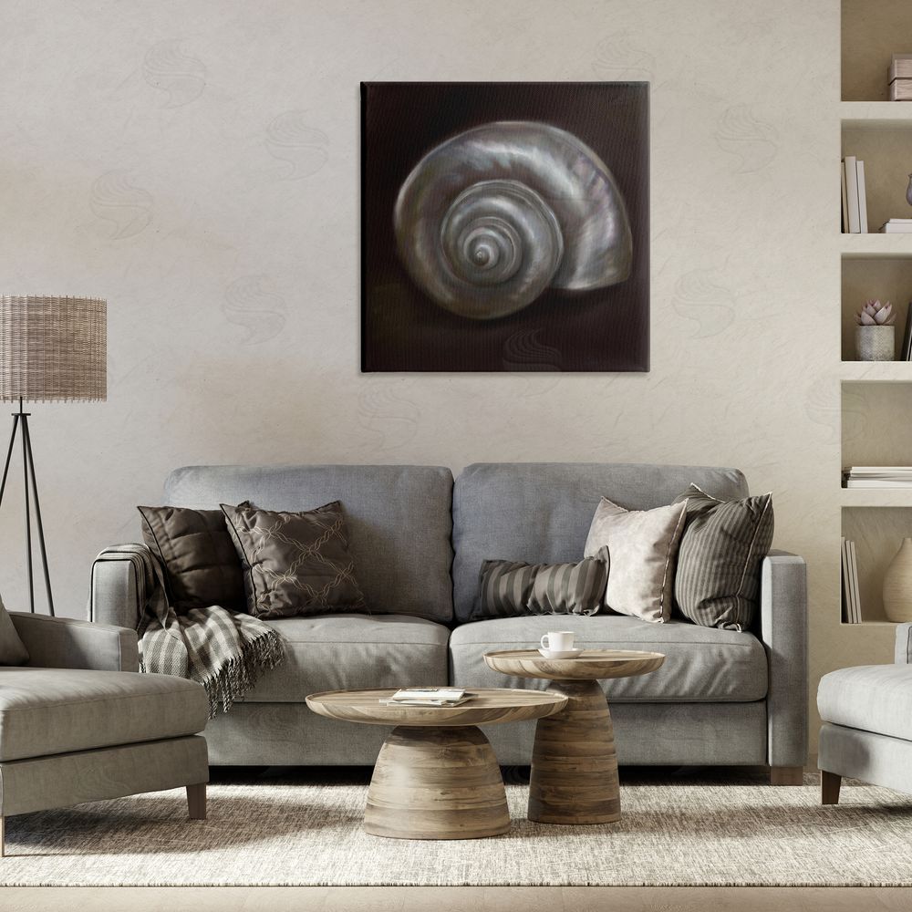 Mary Sparrow Spiral Treasure Of Sea Canvas Art on Wall