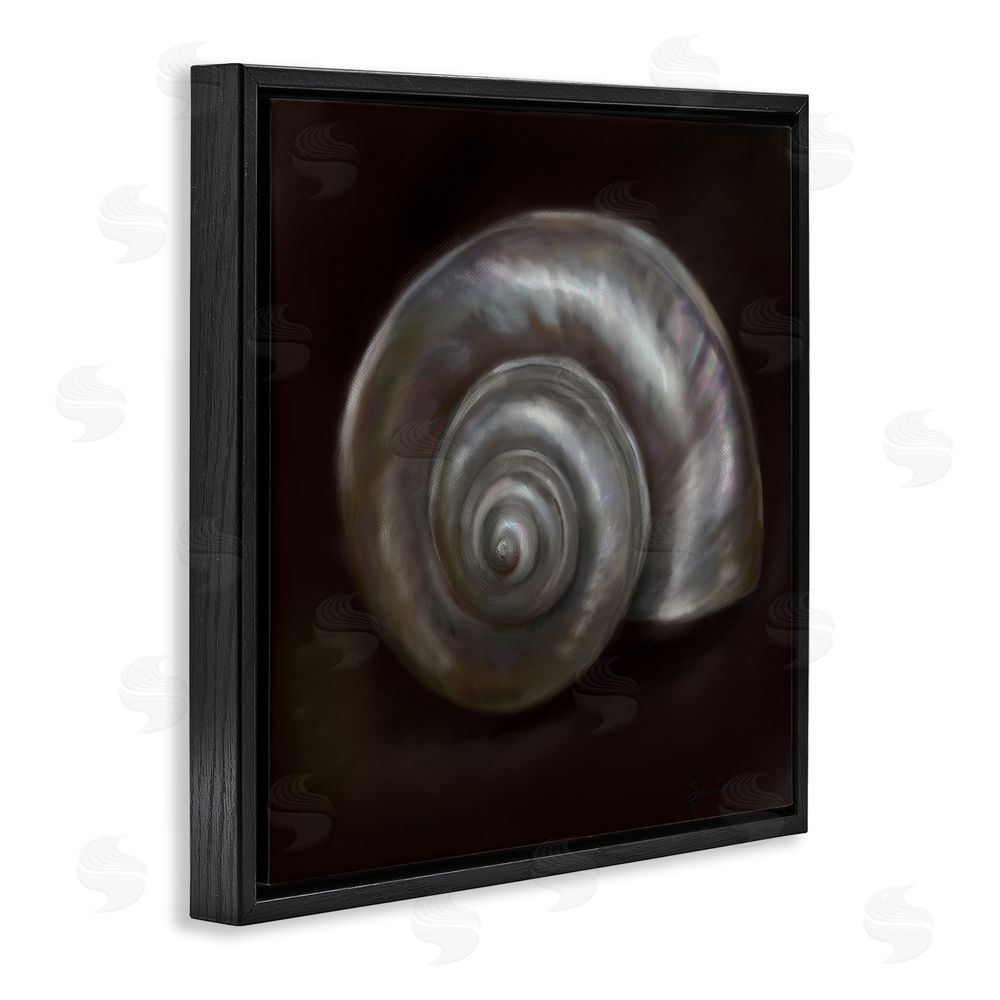 Mary Sparrow Spiral Treasure Of Sea Black Floating Frame Canvas Wall Art Print