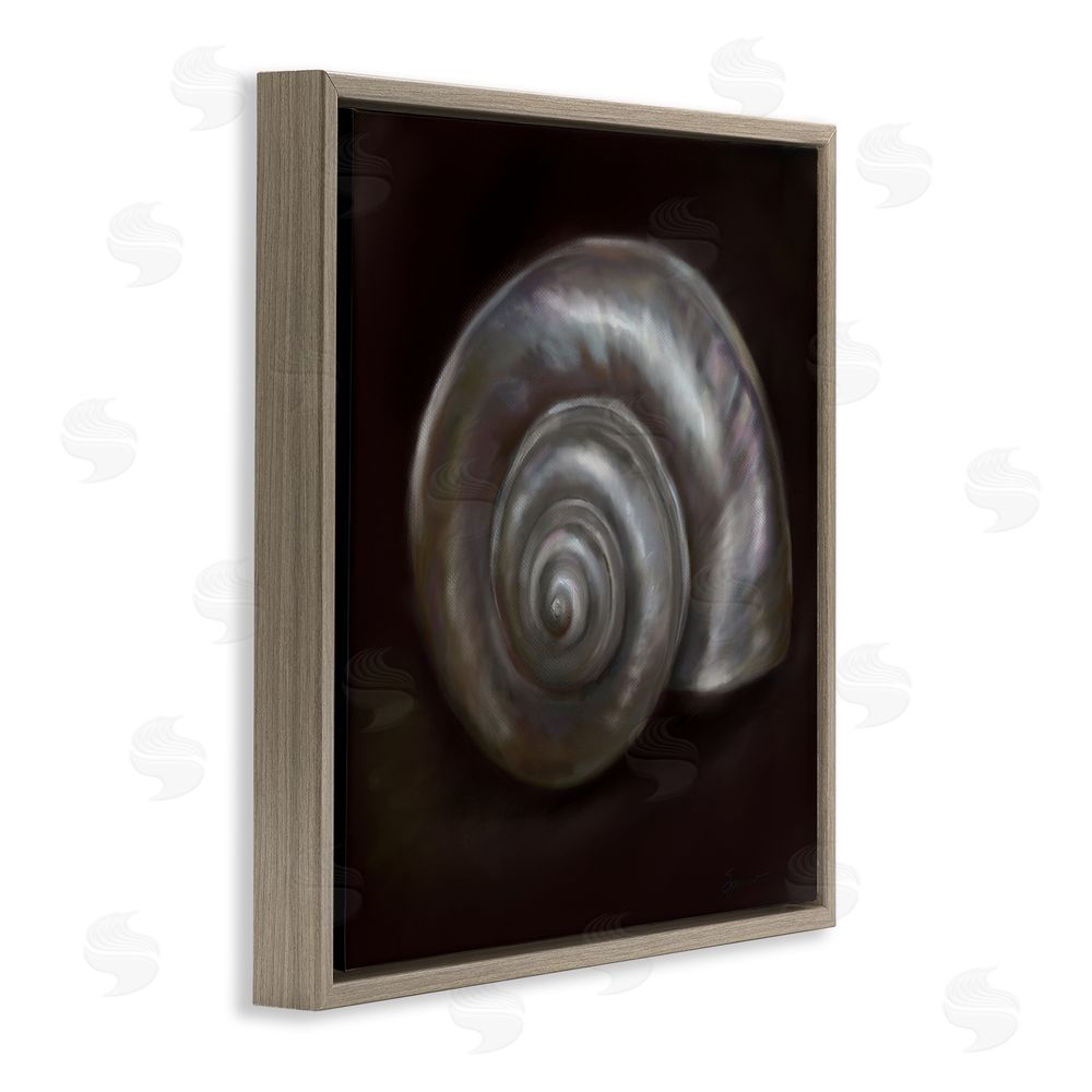 Mary Sparrow Spiral Treasure Of Sea Brown Floating Frame Canvas Wall Art Print