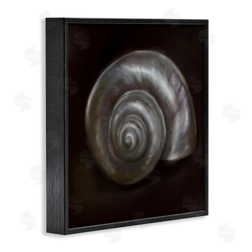 Mary Sparrow Spiral Treasure Of Sea Black Framed Giclee Wall Art Print