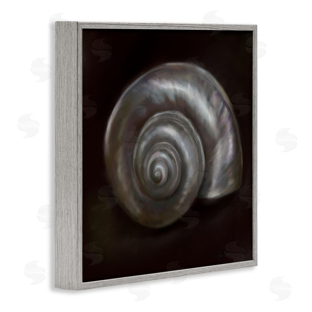 Mary Sparrow Spiral Treasure Of Sea Gray Framed Giclee Wall Art Print