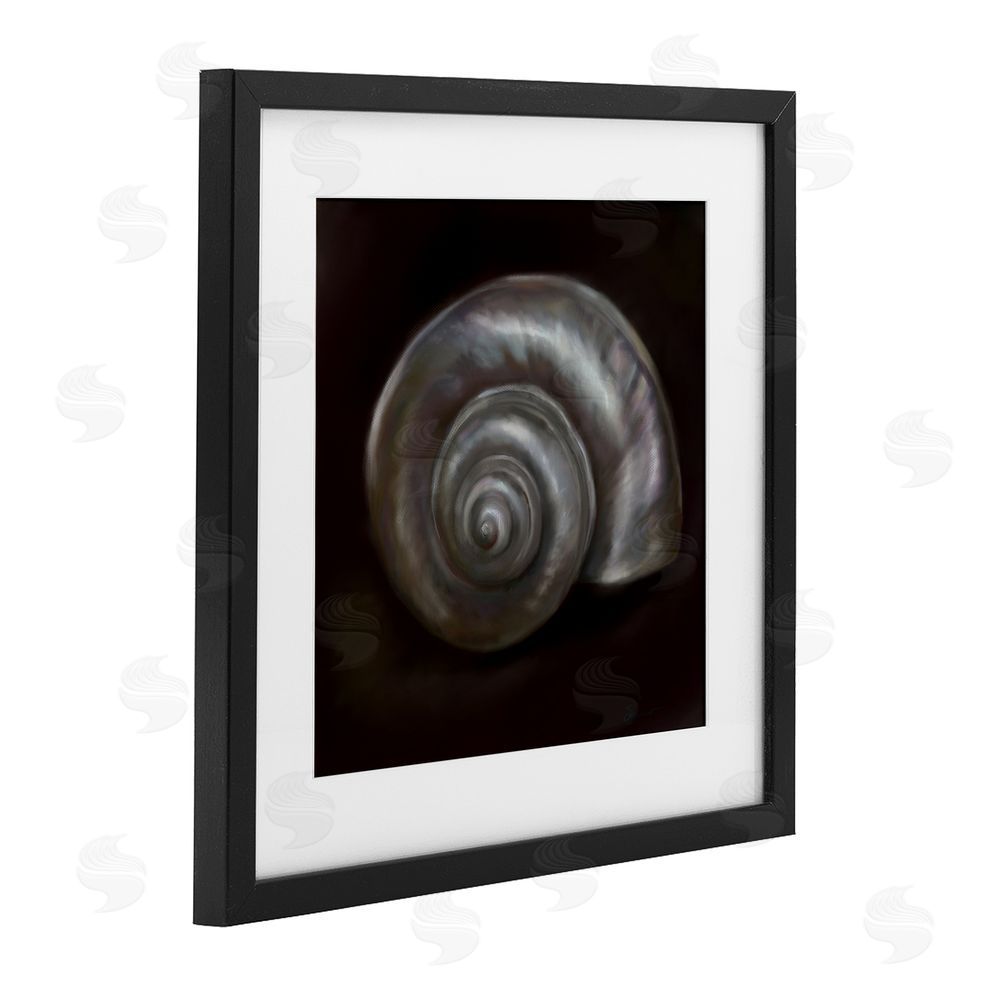 Mary Sparrow Spiral Treasure Of Sea Black Framed Print Under Glass with White Mat Wall Art