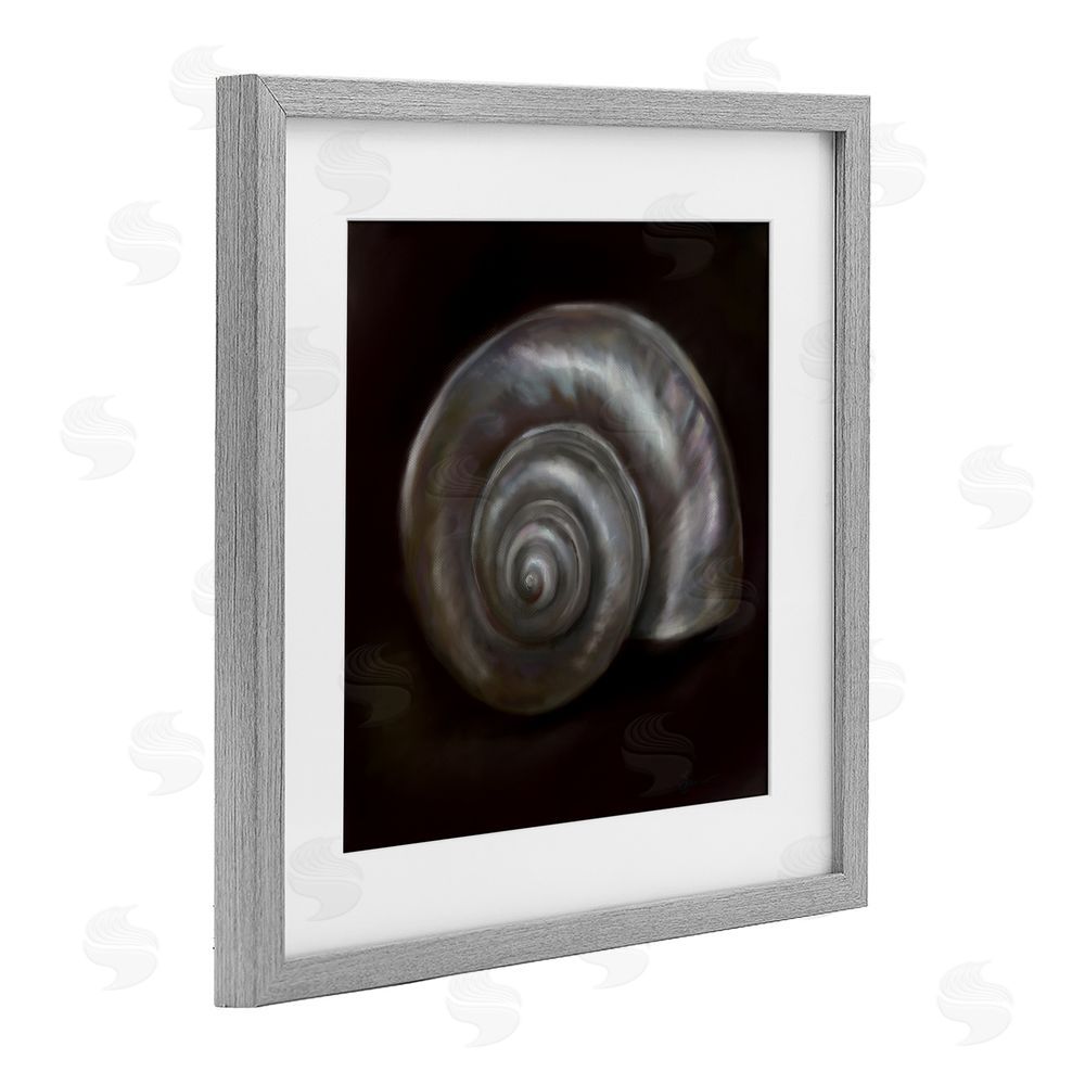 Mary Sparrow Spiral Treasure Of Sea Gray Framed Print Under Glass with White Mat Wall Art