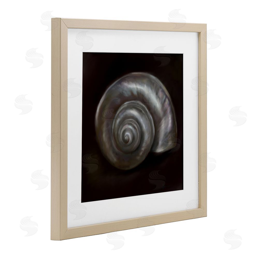 Mary Sparrow Spiral Treasure Of Sea Birch Framed Print Under Glass with White Mat Wall Art