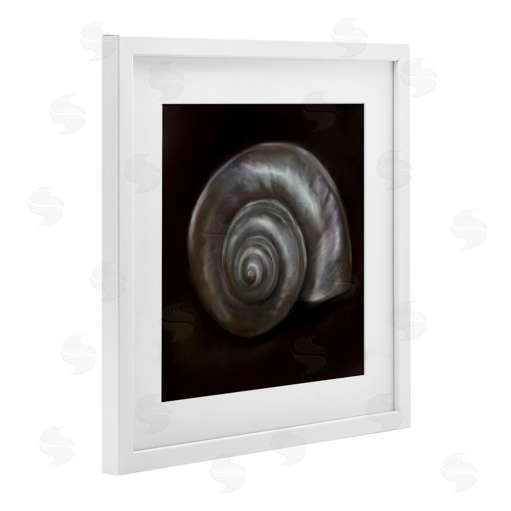 Mary Sparrow Spiral Treasure Of Sea White Framed Print Under Glass with Mat Wall Art