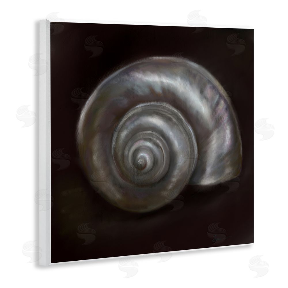Mary Sparrow Spiral Treasure Of Sea Wall Plaque Art Print