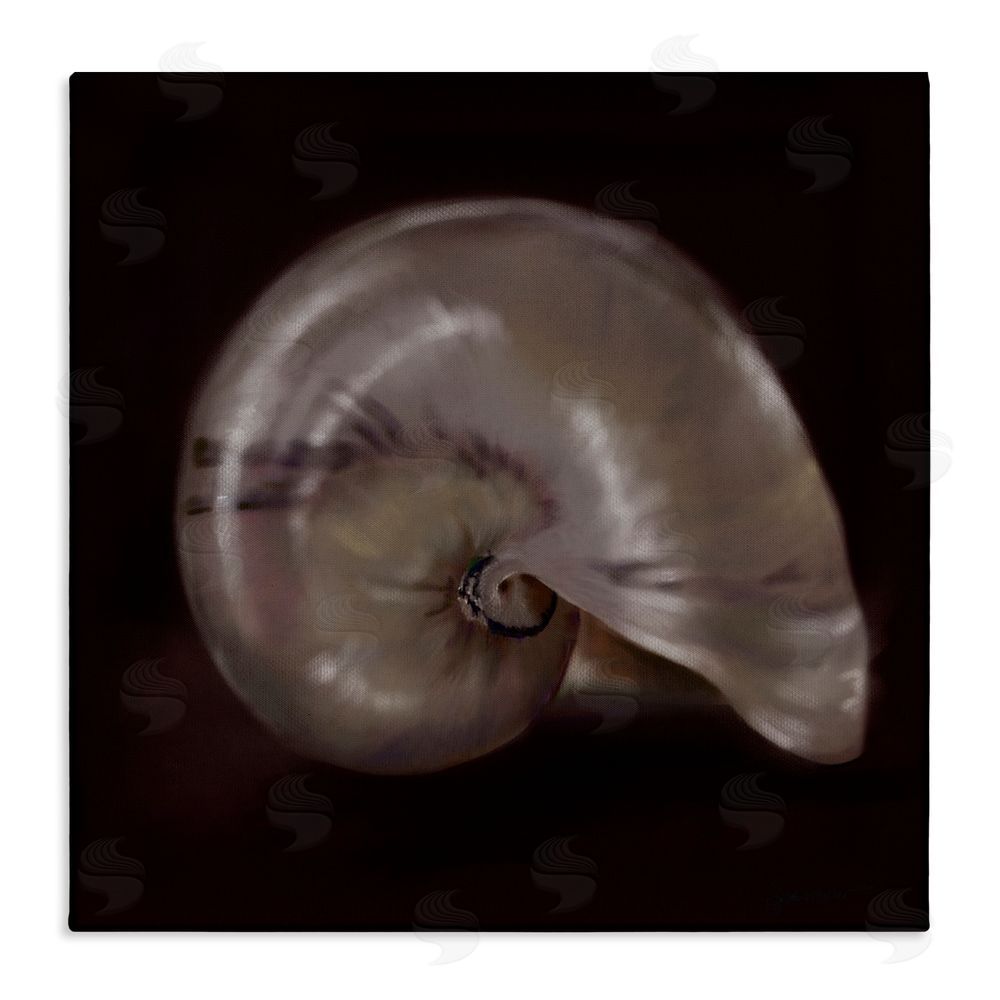 Mary Sparrow Seashell Treasure of Sea Canvas Wall Art Print