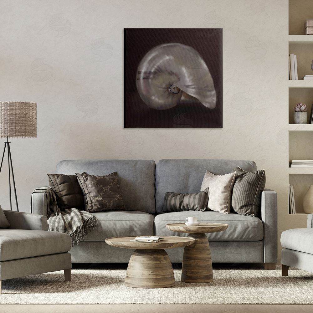 Mary Sparrow Seashell Treasure of Sea Canvas Art on Wall