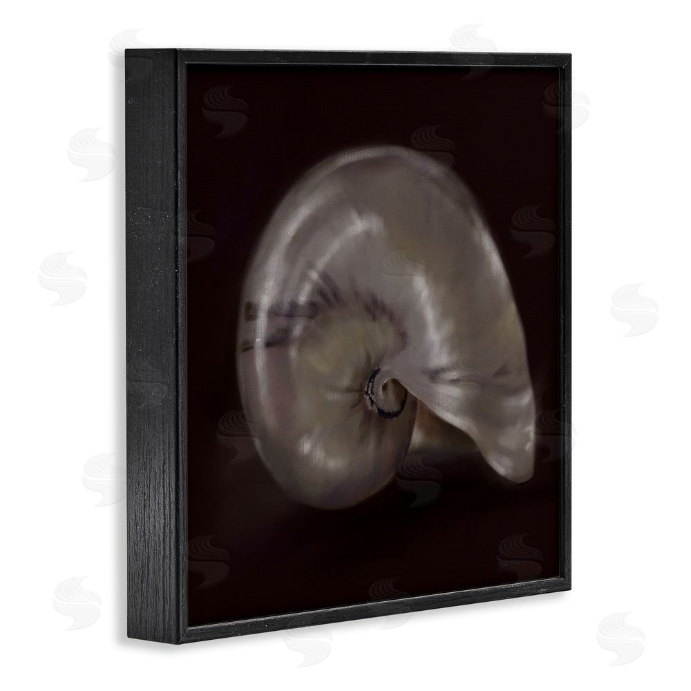 Mary Sparrow Seashell Treasure of Sea Black Framed Giclee Wall Art Print