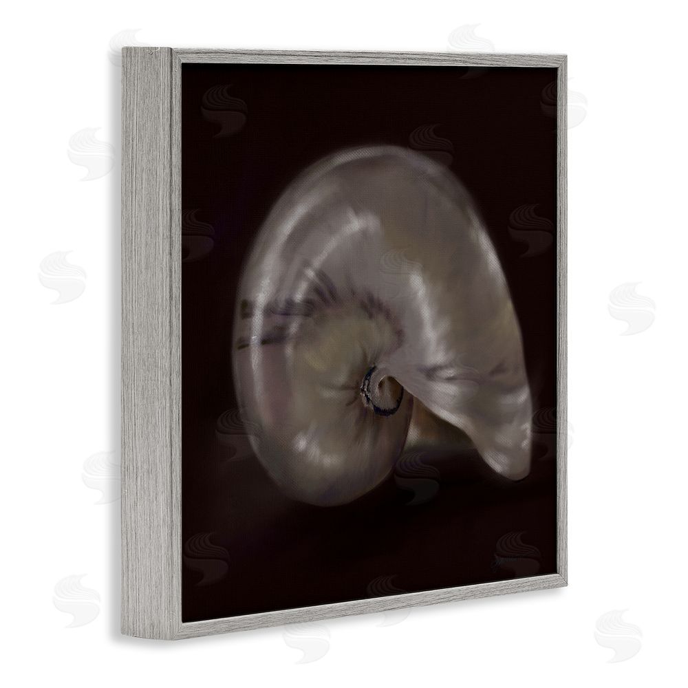 Mary Sparrow Seashell Treasure of Sea Gray Framed Giclee Wall Art Print