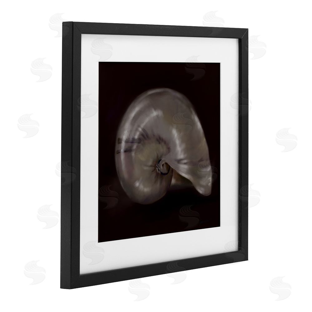 Mary Sparrow Seashell Treasure of Sea Black Framed Print Under Glass with White Mat Wall Art