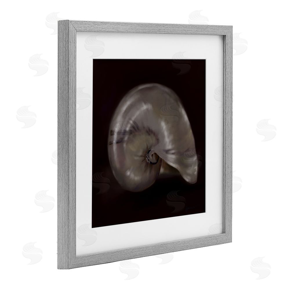 Mary Sparrow Seashell Treasure of Sea Gray Framed Print Under Glass with White Mat Wall Art