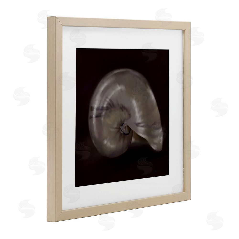 Mary Sparrow Seashell Treasure of Sea Birch Framed Print Under Glass with White Mat Wall Art