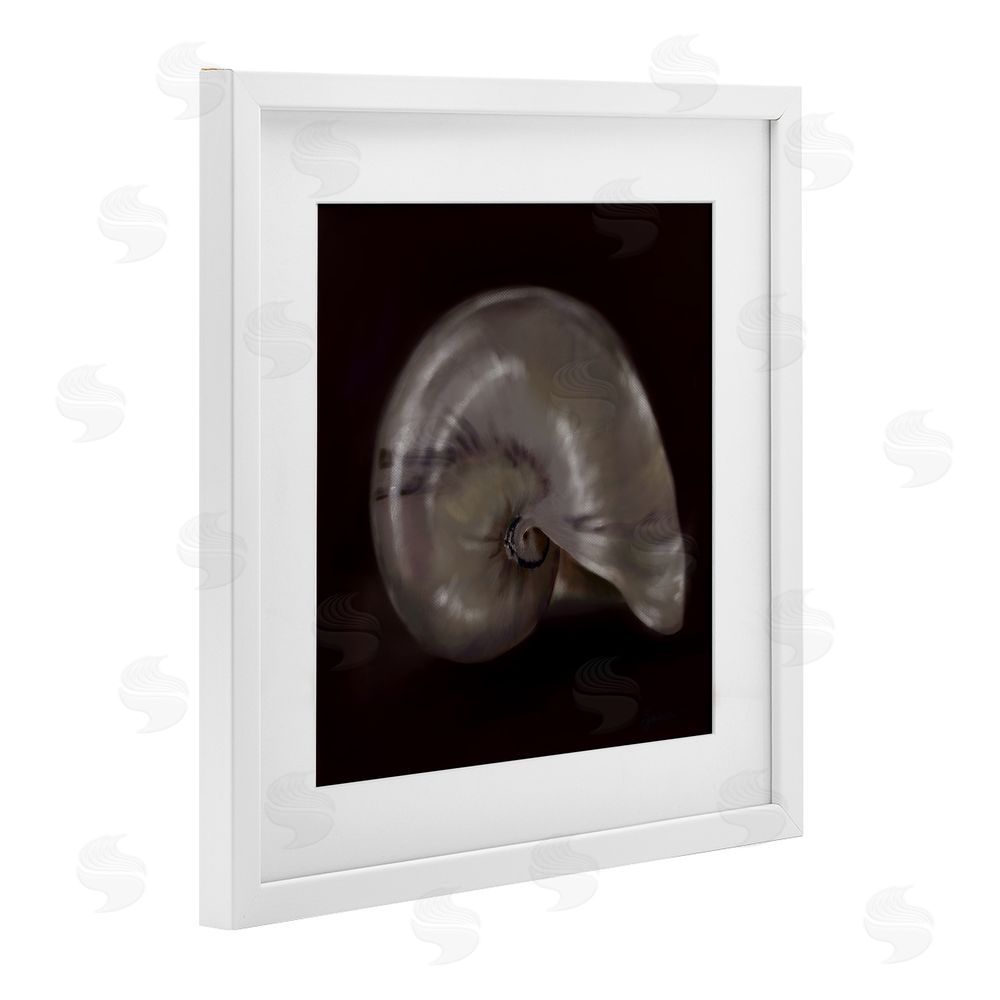 Mary Sparrow Seashell Treasure of Sea White Framed Print Under Glass with Mat Wall Art