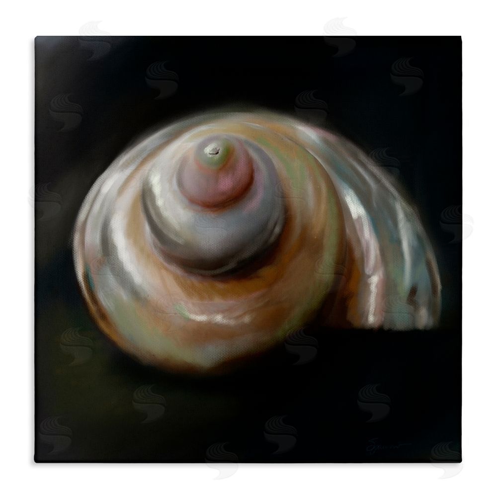Mary Sparrow Swirled Seashell Sea Treasure Canvas Wall Art Print
