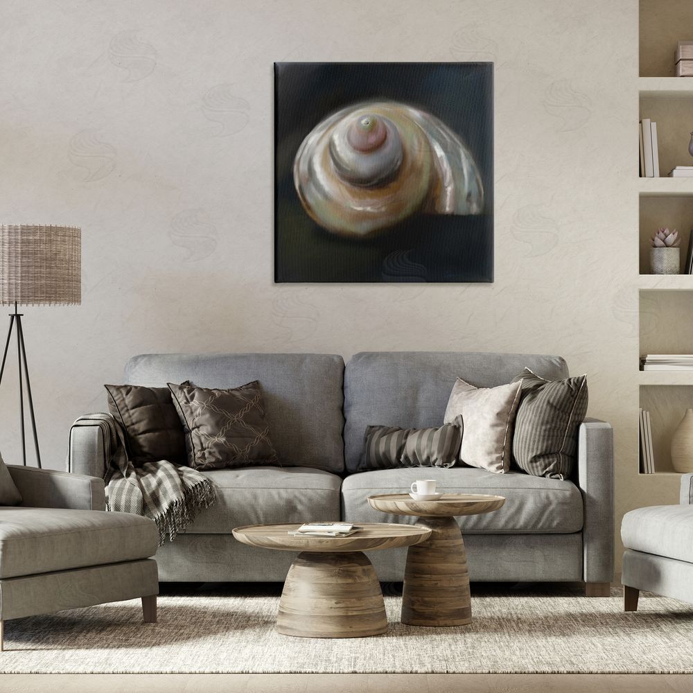 Mary Sparrow Swirled Seashell Sea Treasure Canvas Art on Wall