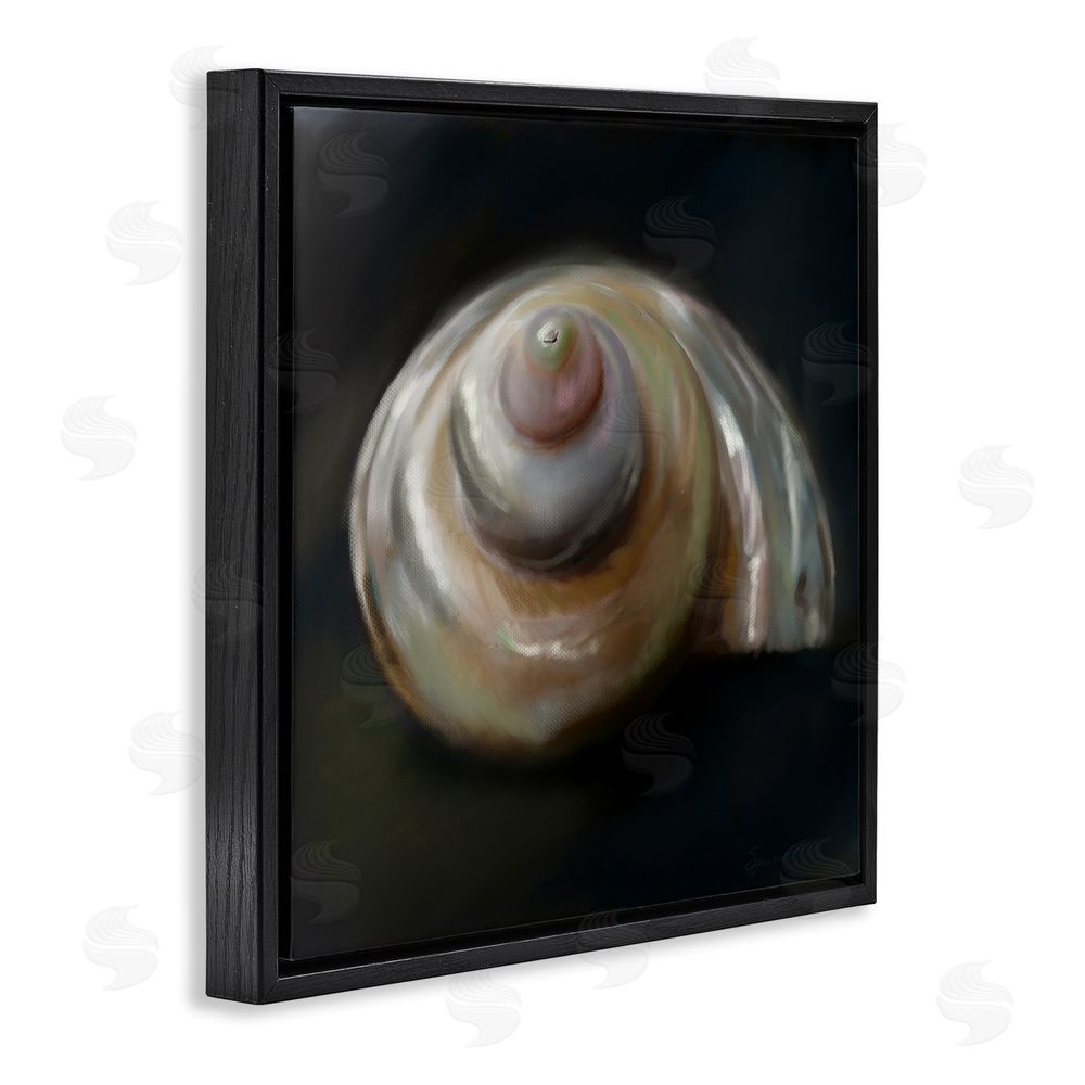 Mary Sparrow Swirled Seashell Sea Treasure Black Floating Frame Canvas Wall Art Print