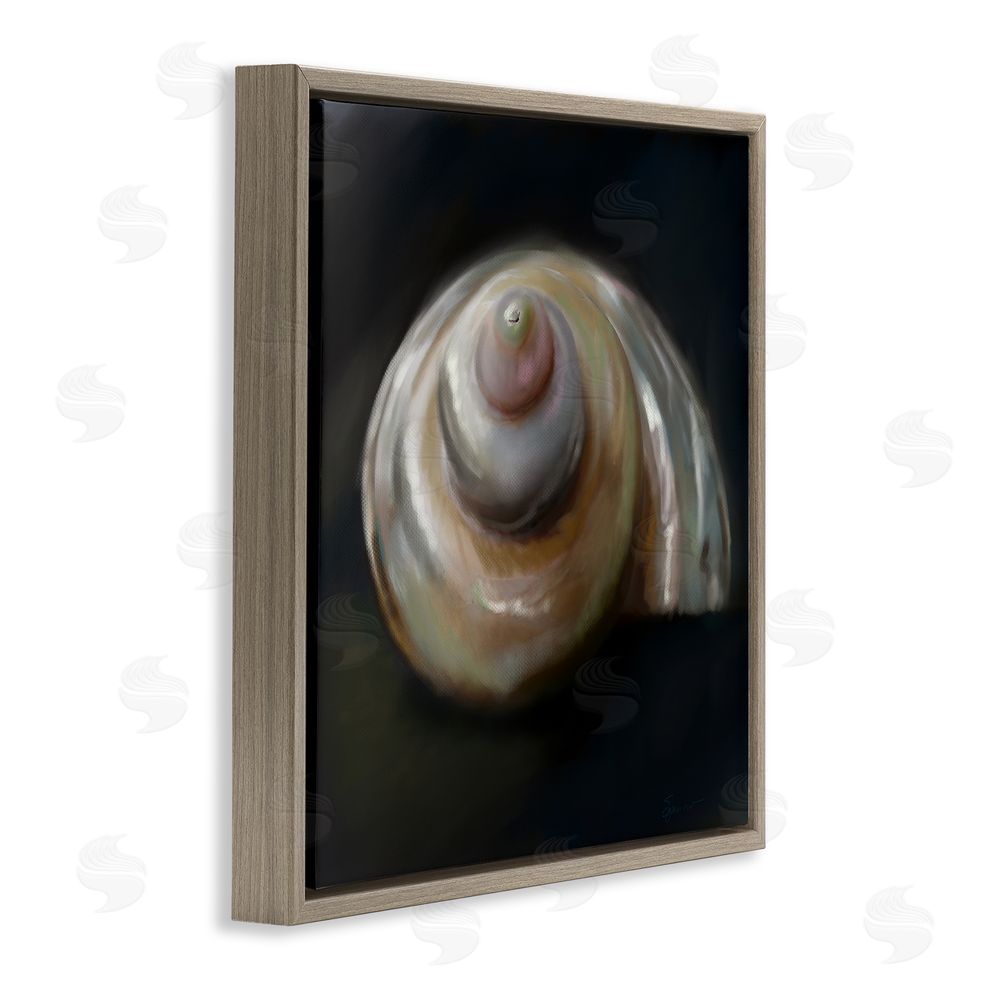 Mary Sparrow Swirled Seashell Sea Treasure Brown Floating Frame Canvas Wall Art Print