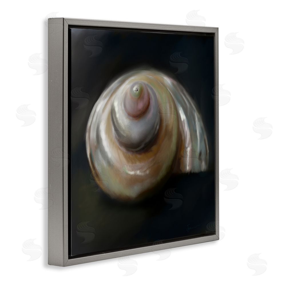 Mary Sparrow Swirled Seashell Sea Treasure Gray Floating Frame Canvas Wall Art Print