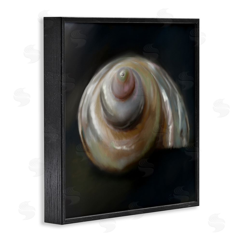 Mary Sparrow Swirled Seashell Sea Treasure Black Framed Giclee Wall Art Print
