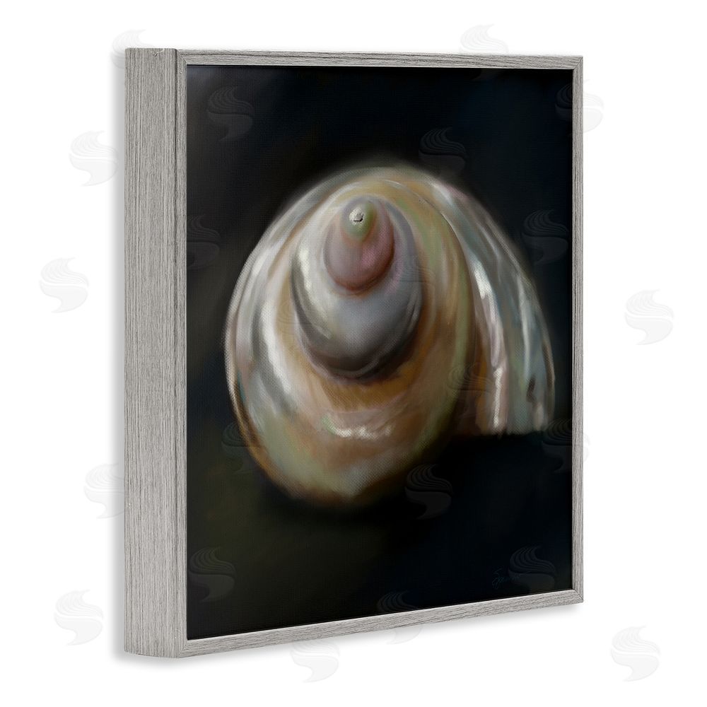 Mary Sparrow Swirled Seashell Sea Treasure Gray Framed Giclee Wall Art Print