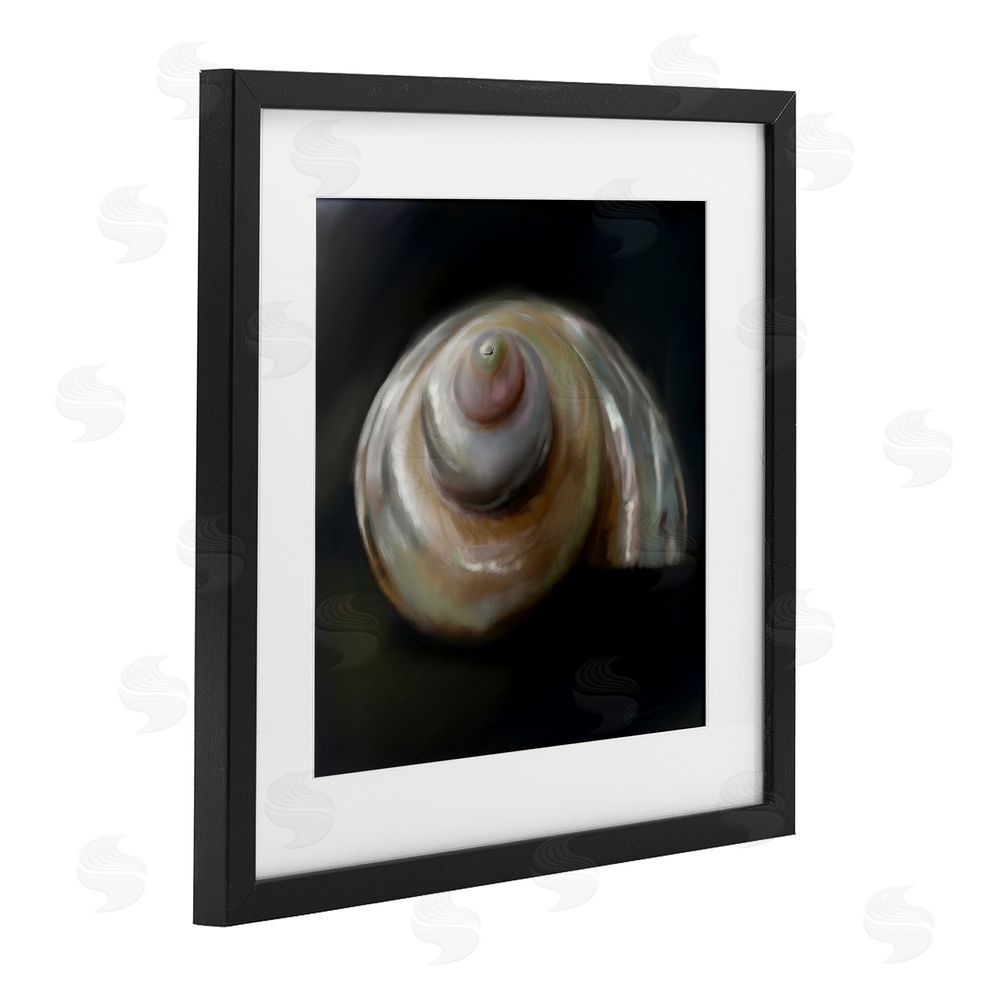 Mary Sparrow Swirled Seashell Sea Treasure Black Framed Print Under Glass with White Mat Wall Art