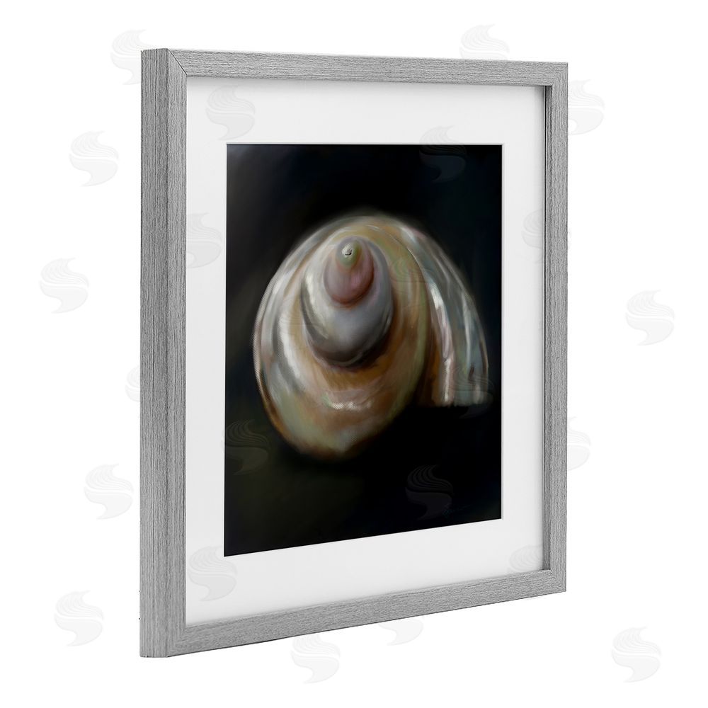 Mary Sparrow Swirled Seashell Sea Treasure Gray Framed Print Under Glass with White Mat Wall Art