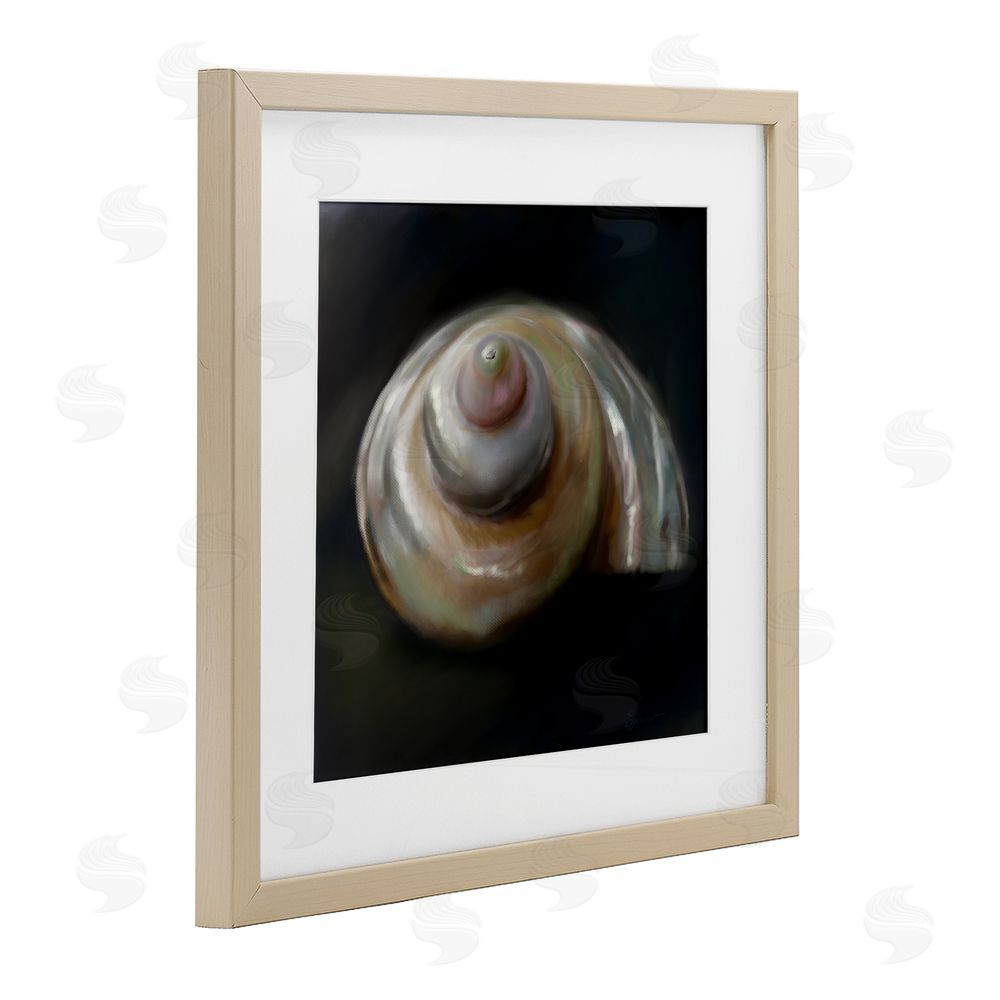 Mary Sparrow Swirled Seashell Sea Treasure Birch Framed Print Under Glass with White Mat Wall Art