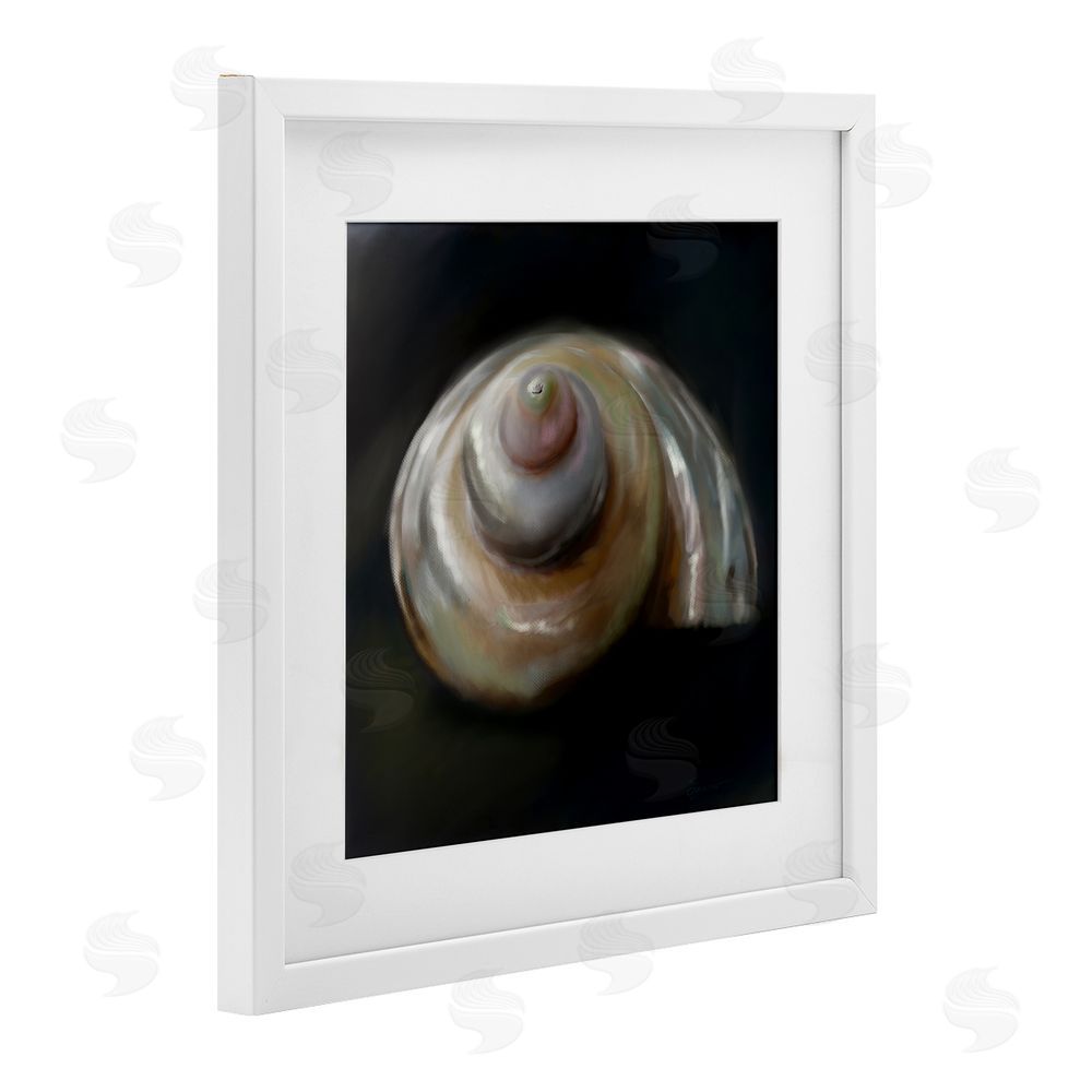 Mary Sparrow Swirled Seashell Sea Treasure White Framed Print Under Glass with Mat Wall Art