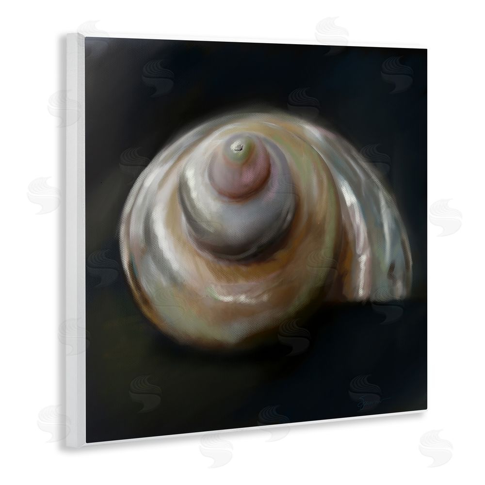 Mary Sparrow Swirled Seashell Sea Treasure Wall Plaque Art Print
