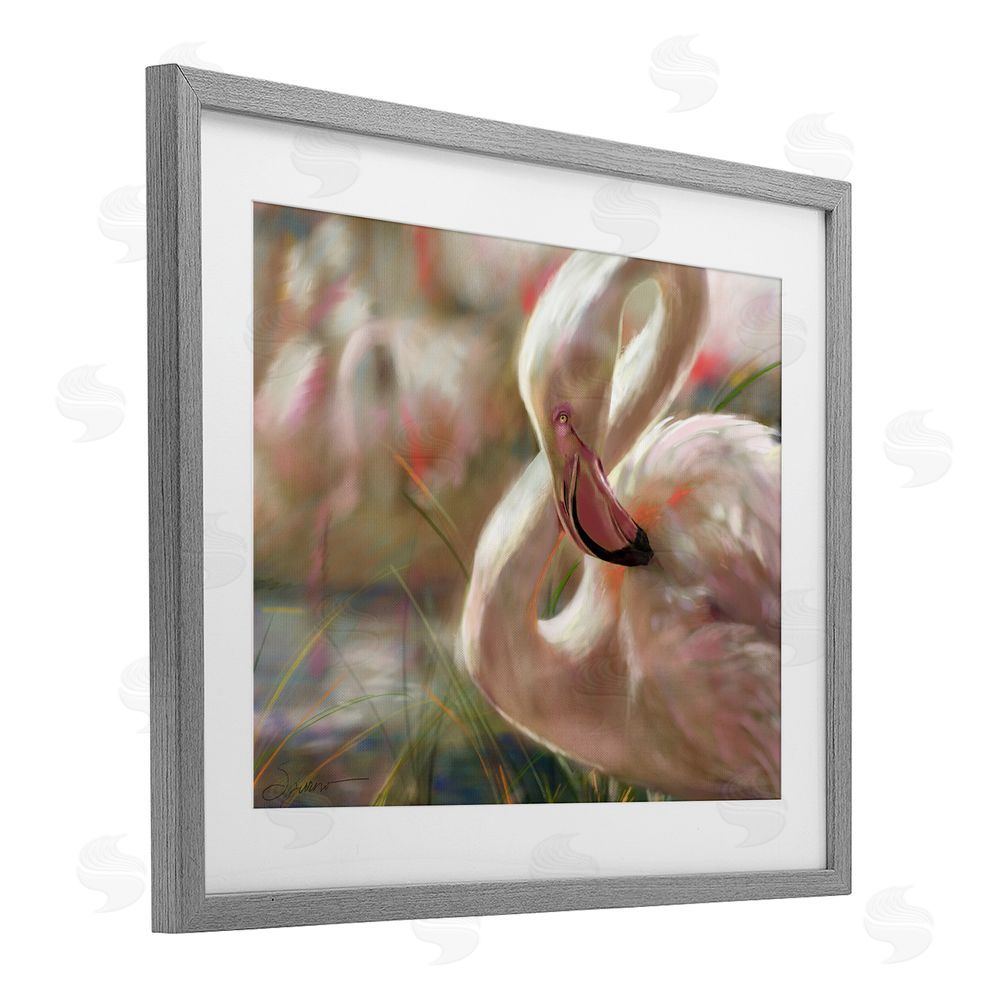 Mary Sparrow Preening Flamingo Sunset Gray Framed Print Under Glass with White Mat Wall Art