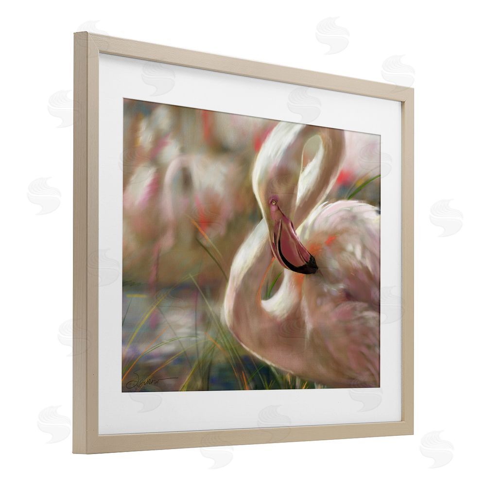 Mary Sparrow Preening Flamingo Sunset Birch Framed Print Under Glass with White Mat Wall Art