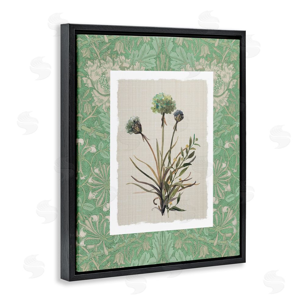 Carol Robinson Vintage Foliage in Green Black Floating Frame Canvas Wall Art Print